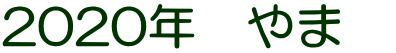2020年　やま　